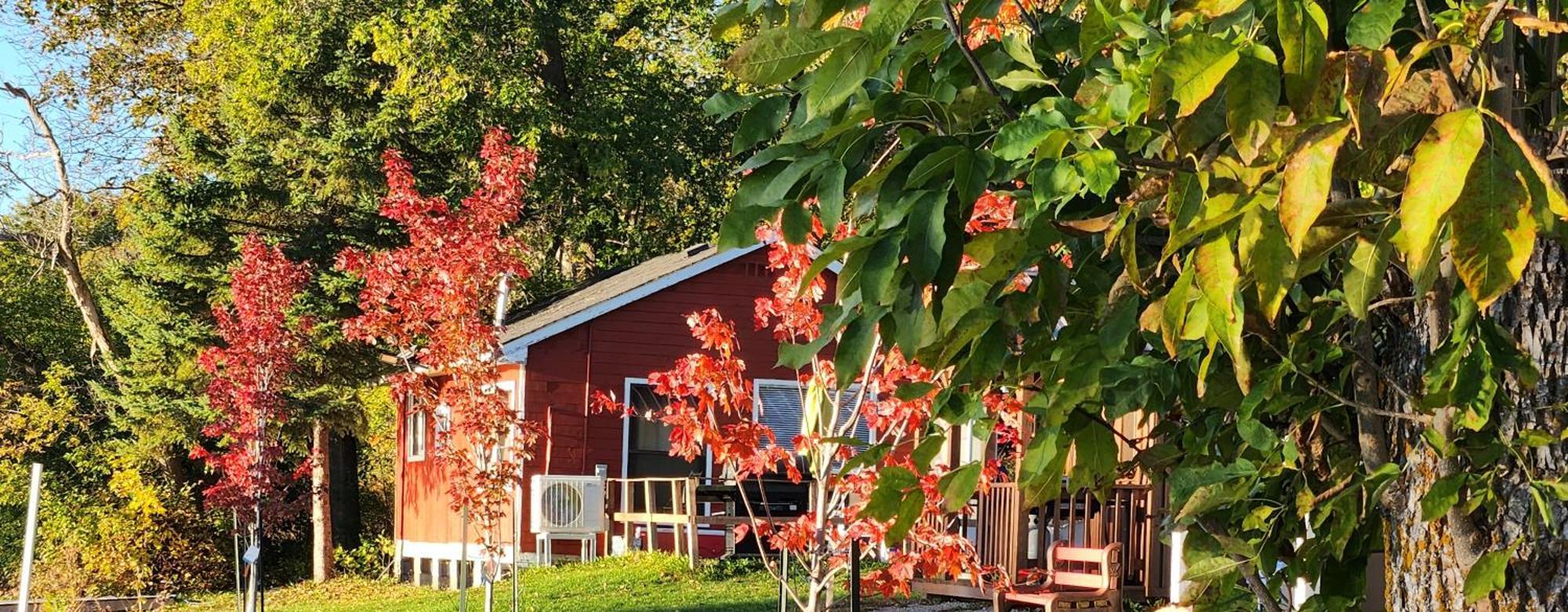 Trent River Cottages Hastings Eksteriør bilde